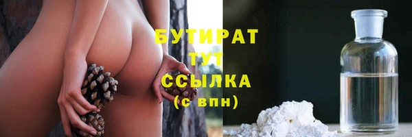 ECSTASY Бородино