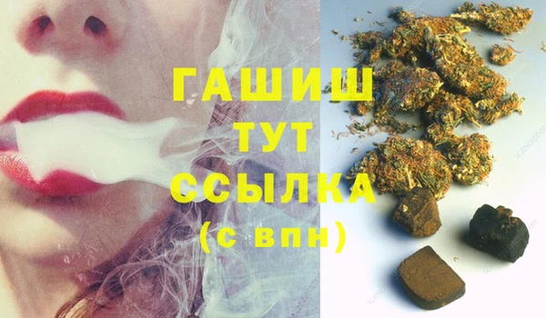 сатива Губаха