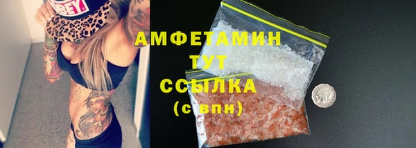 ECSTASY Бородино